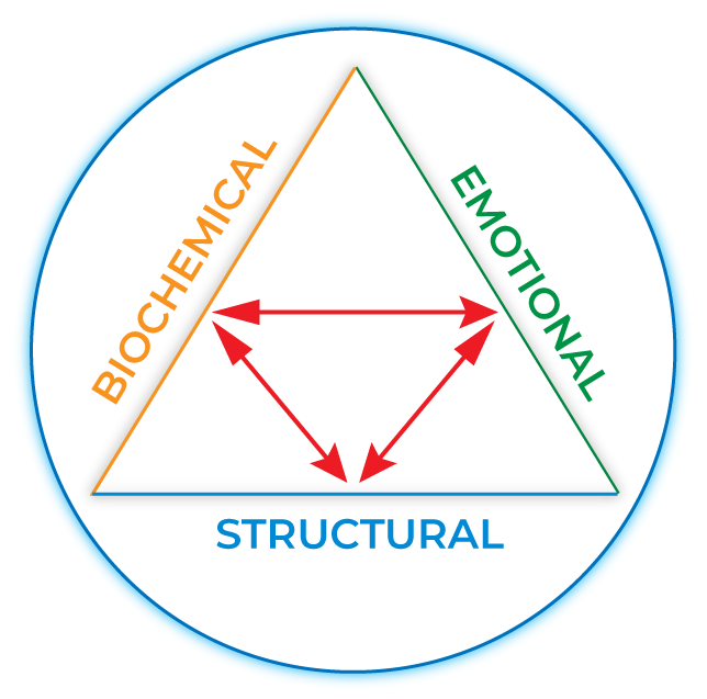 Image of The Triangle of Health depicting Biochemical, Emotional and structural aspects on each side tied together by the meridian system
