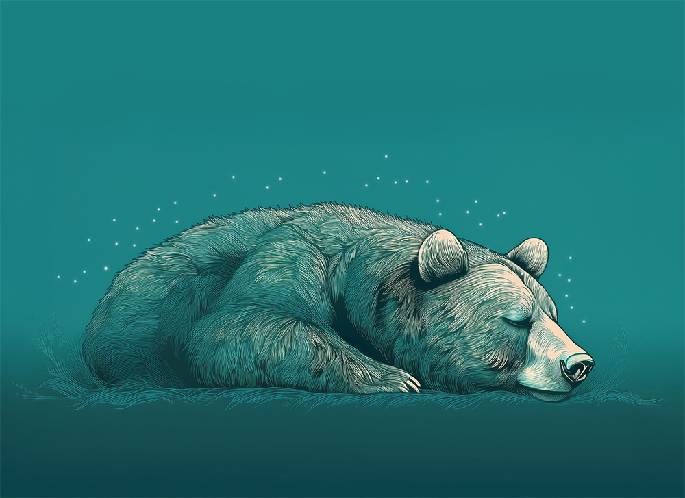 Hibernating Bear Line illustration of a bear hibernating. Teal background with light orbs.